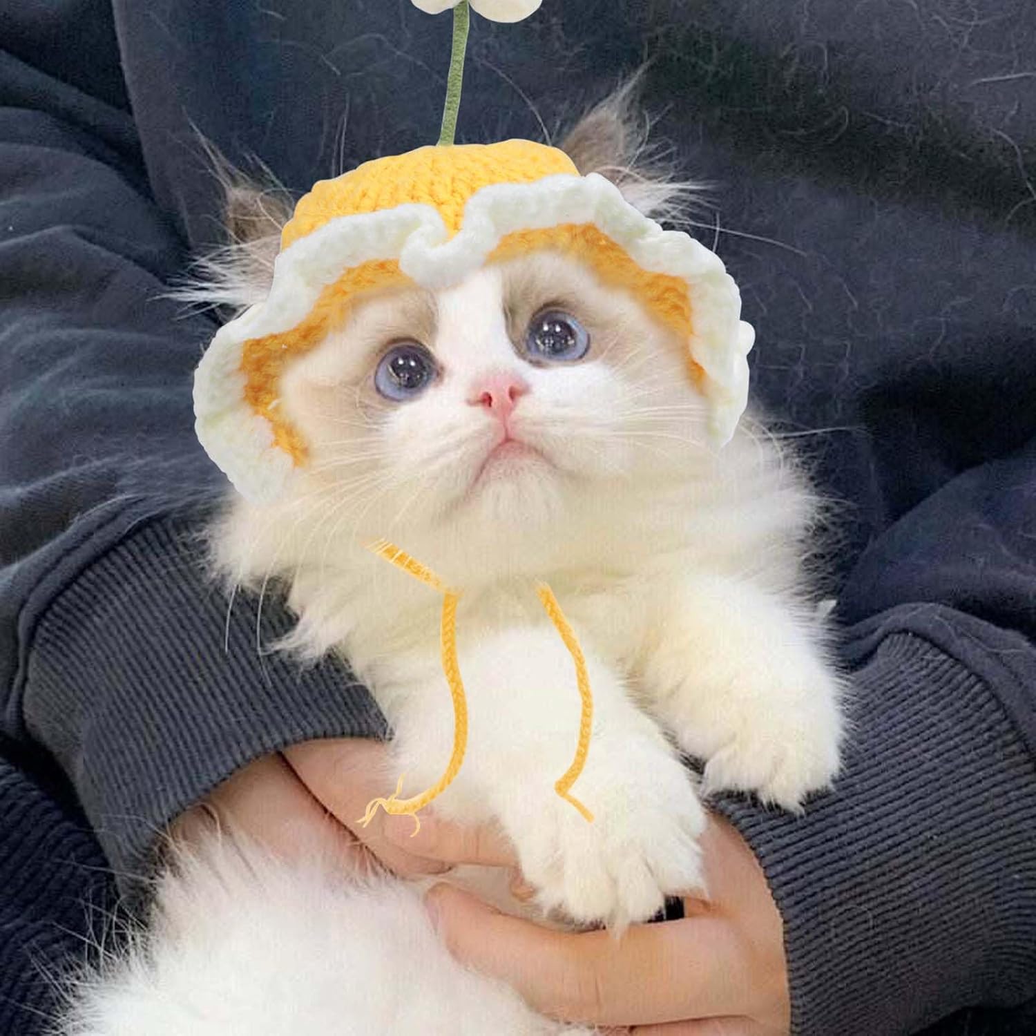 KFX-2760765 Knit Cat and Dog Hats with Cute Cartoon Design for Small Pets - Warm Costume Accessories