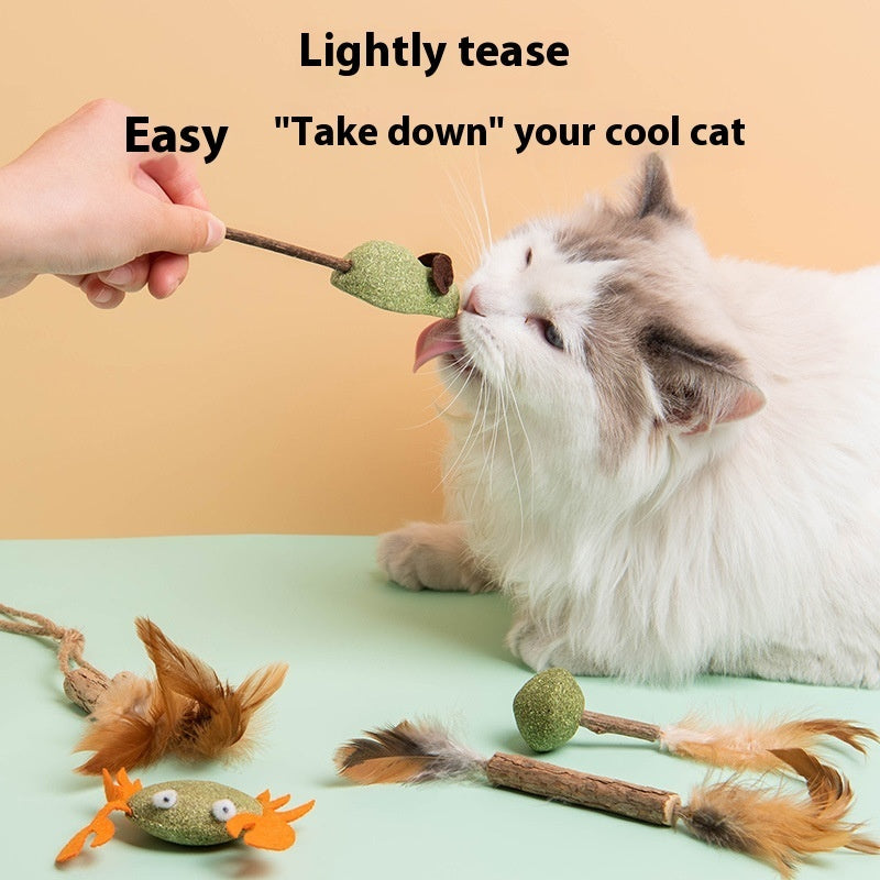 KFX-2761917 Catnip Polygonum Multiflorum Nibbling Toy Assortment for Pets - Various Styles Available