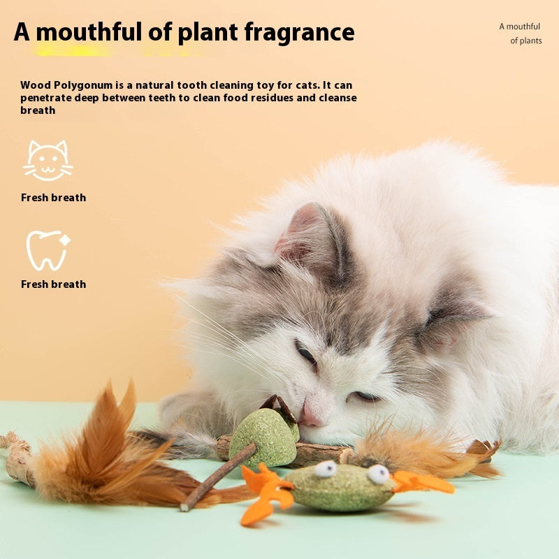 KFX-2761917 Catnip Polygonum Multiflorum Nibbling Toy Assortment for Pets - Various Styles Available