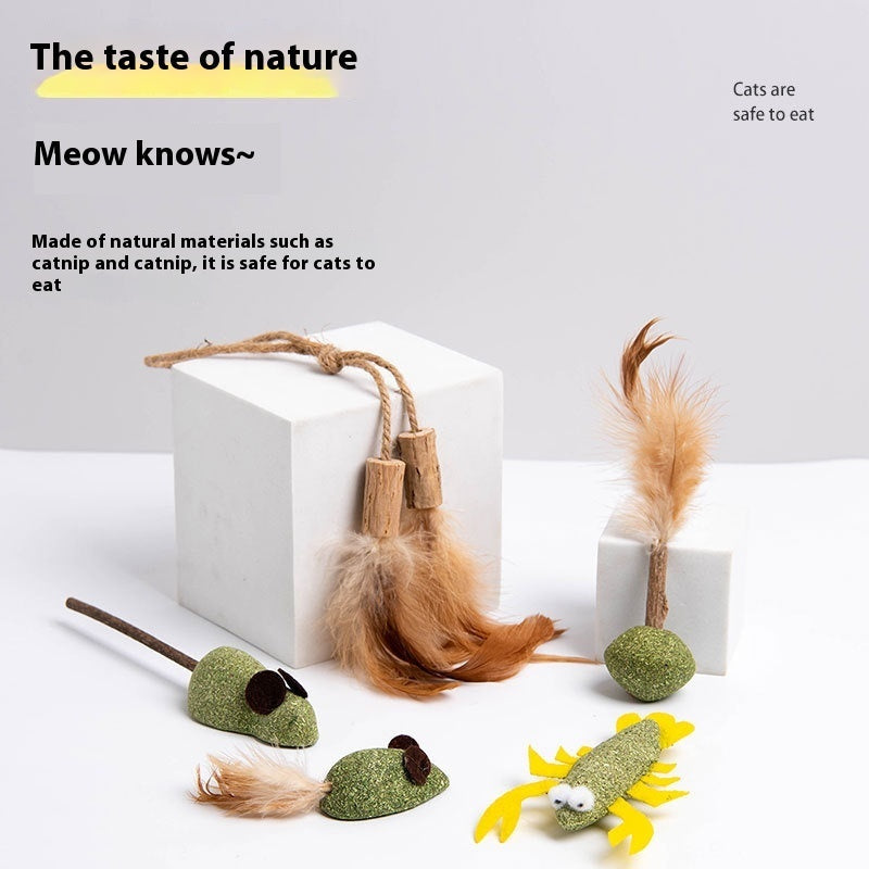 KFX-2761917 Catnip Polygonum Multiflorum Nibbling Toy Assortment for Pets - Various Styles Available
