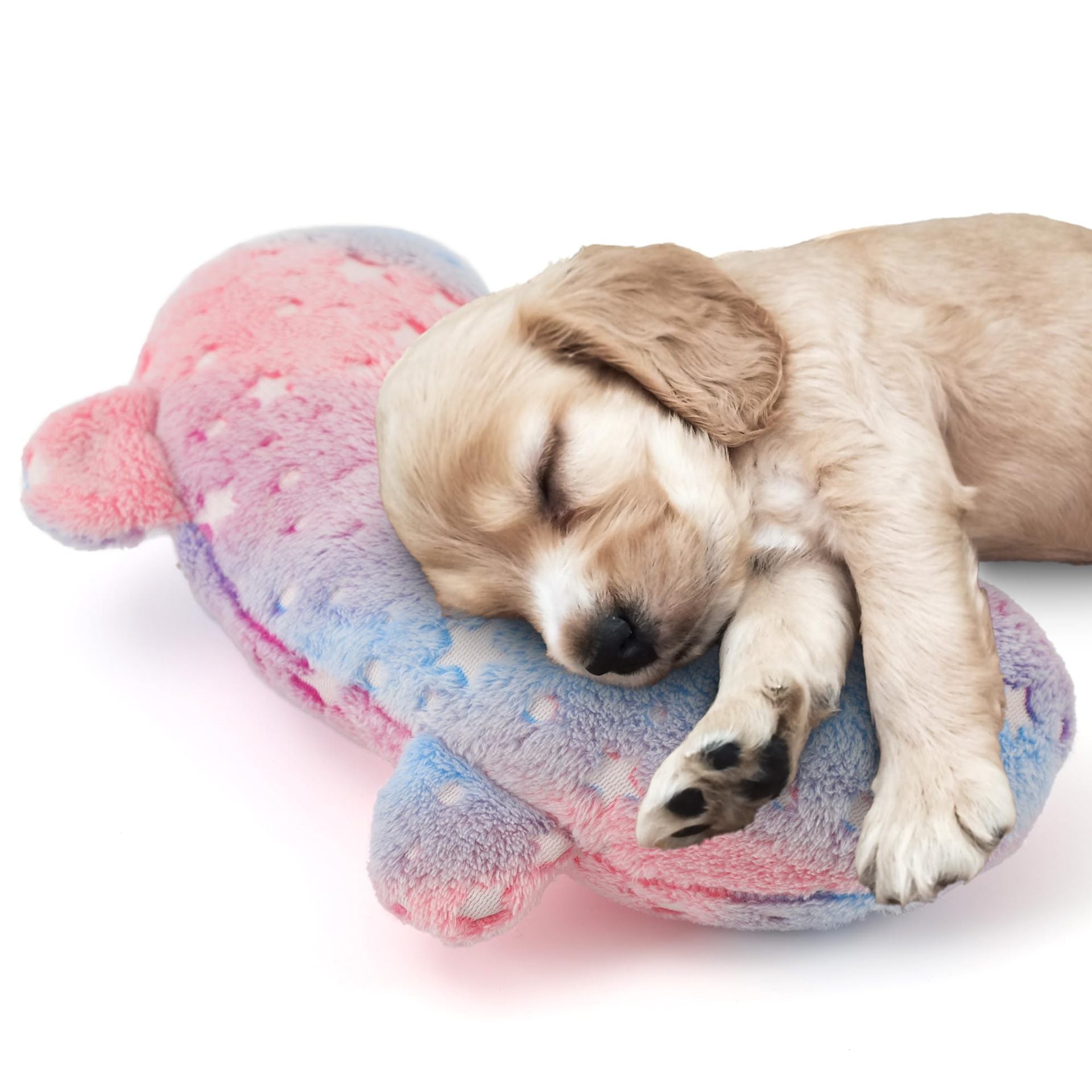 KFX-2762941 Personalized U-Shaped Pet Pillow in Gray with Stars & Moon - Multiple Designs Available