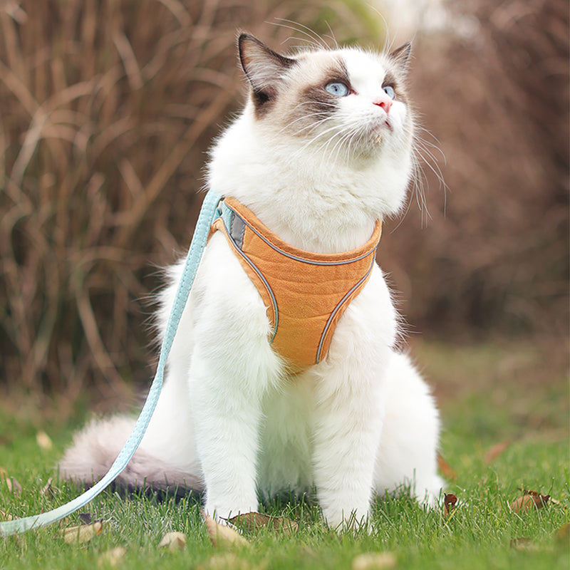 KFX-2763069 Reflective Color-Blocking Traction Belt with Breathable Material for Cats