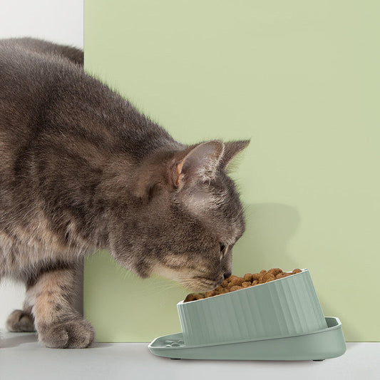 KFX-2763453 Wide Mouth Ceramic Pet Bowl with Neck Protection in Various Colors
