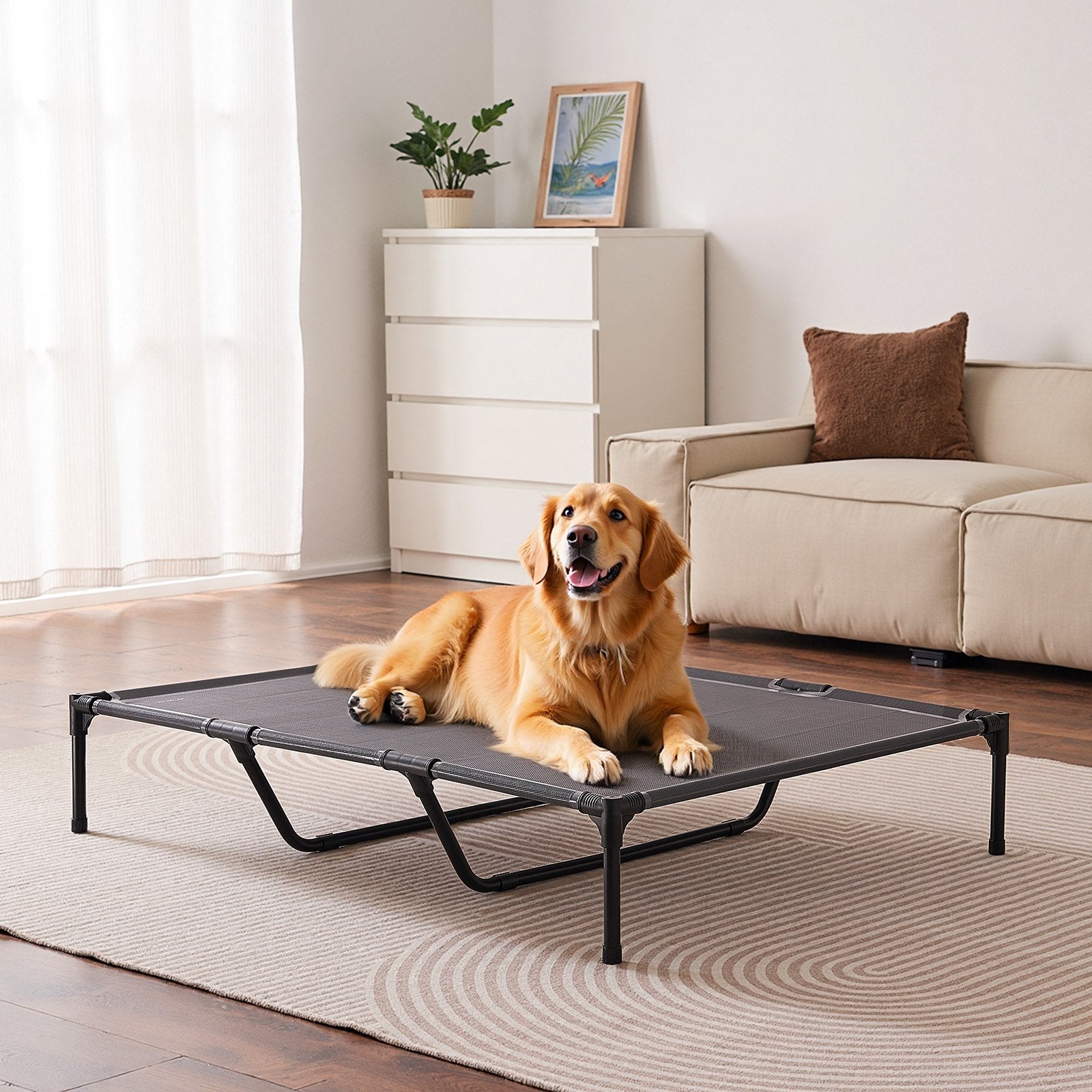 KFX-2767677 Elevated Dog Bed for Large Dogs - Portable Raised Cot with Sturdy Metal Frame, XL Size