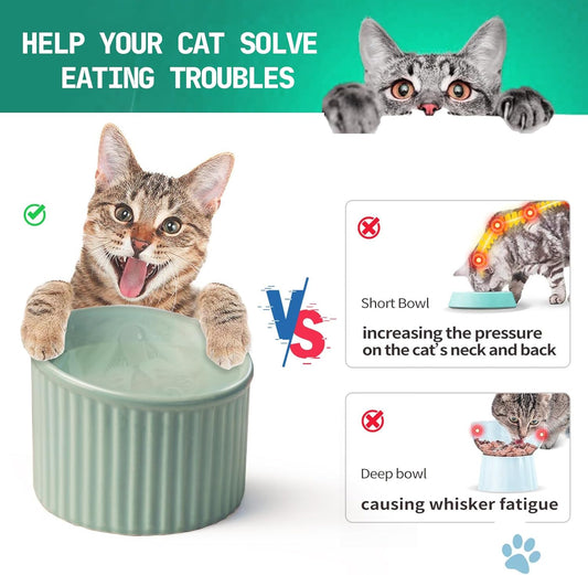 KFX-2782013 Elevated Ceramic Cat Bowls - Tilted, Anti-Vomit Design for Comfortable Feeding