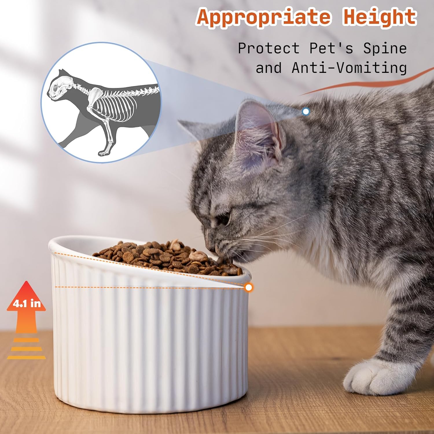 KFX-2782013 Elevated Ceramic Cat Bowls - Tilted, Anti-Vomit Design for Comfortable Feeding