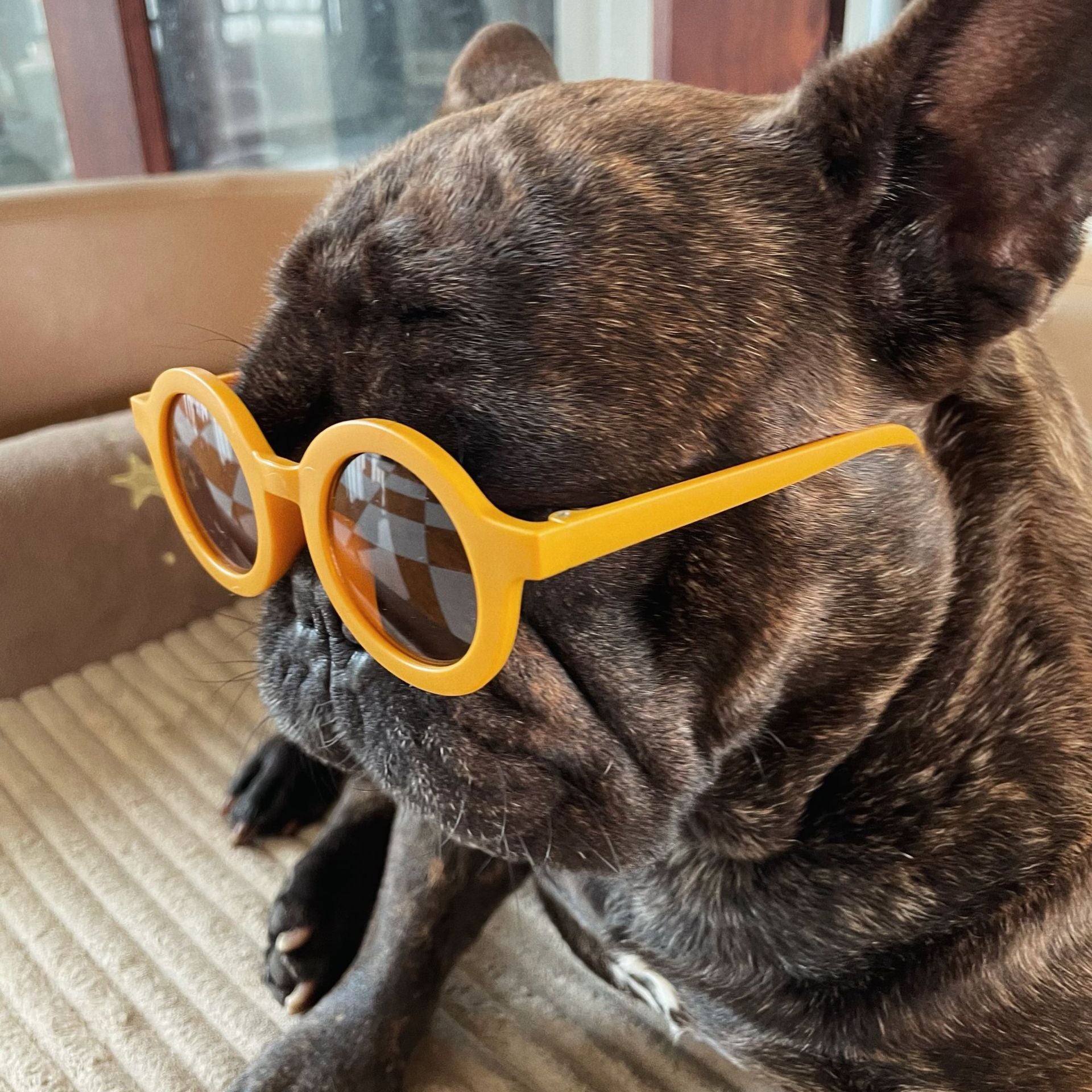 KFX-2782141 Round Frame Fashion Pet Sunglasses for Medium & Large Dogs - Plastic, Multiple Colors Available