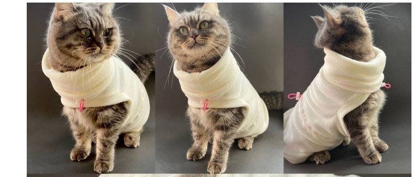 KFX-2787901 Casual Two-Legged Winter Clothing for Hairless Cats - Polyester Design