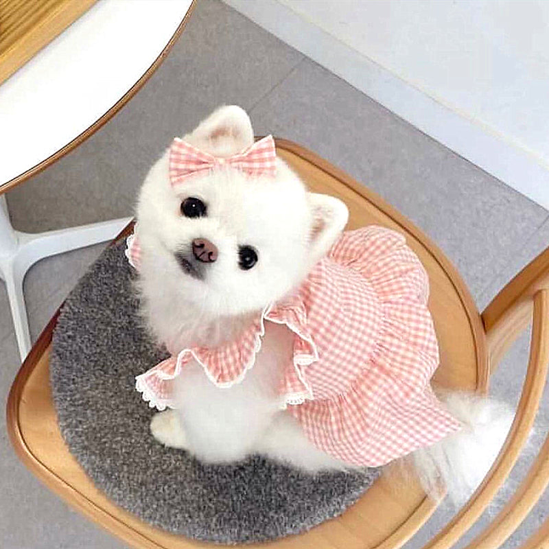 KFX-2790845 Summer Pink Dog Vest with Strap Lace Skirt and Hair Clip