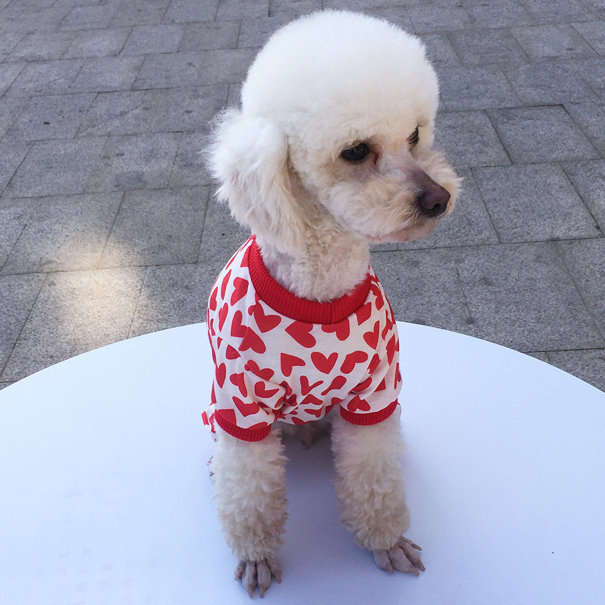 KFX-2794429 Cozy Cotton Four-Legged Pet Clothing in Sizes XS to XL