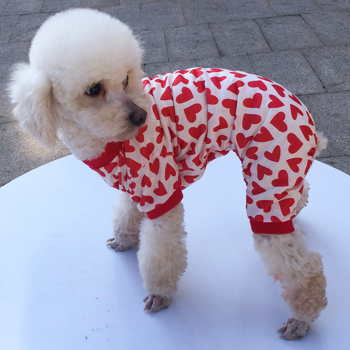 KFX-2794429 Cozy Cotton Four-Legged Pet Clothing in Sizes XS to XL