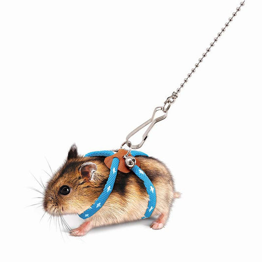 KFX-2801085 Mouse Walking Rope - Anti-Bite Hand Grip in Light Blue and Pink