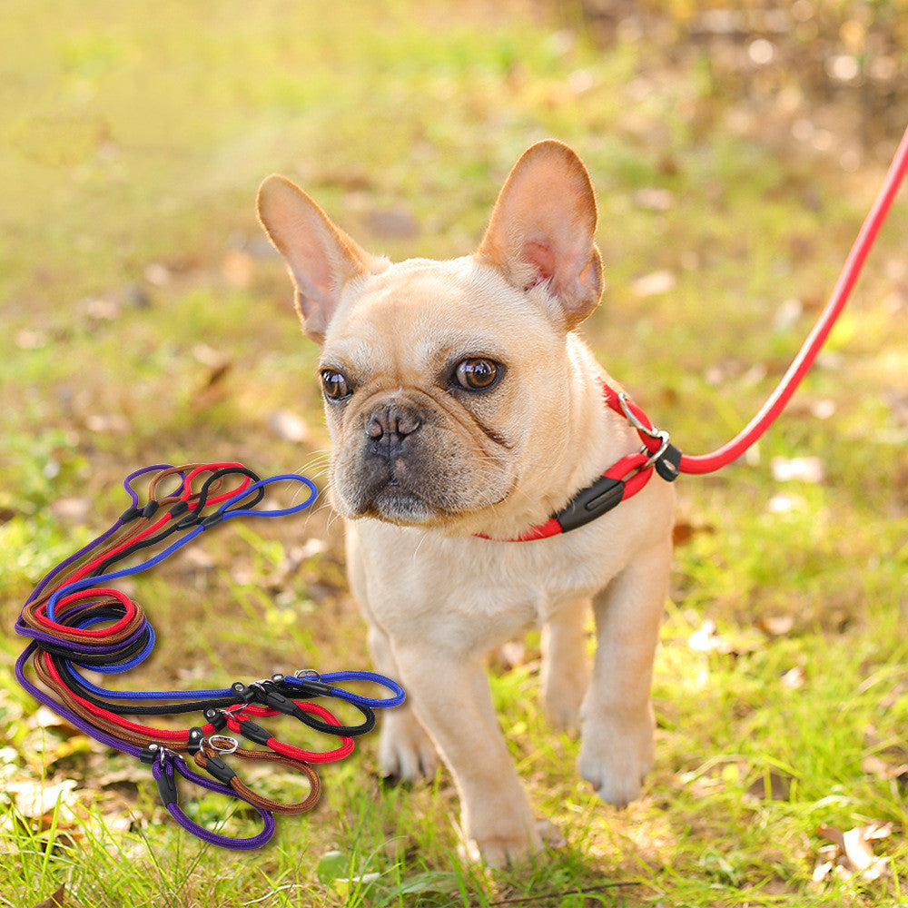KFX-2801597 Nylon Dog Leash for Small to Large Dogs - 150cm Length, Various Diameter Options