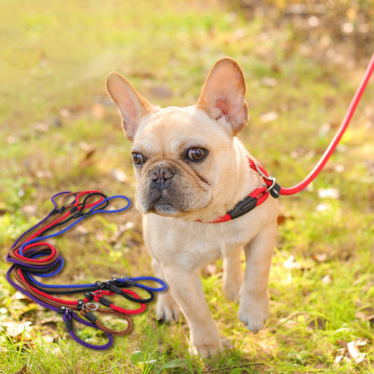 KFX-2801597 Nylon Dog Leash for Small to Large Dogs - 150cm Length, Various Diameter Options