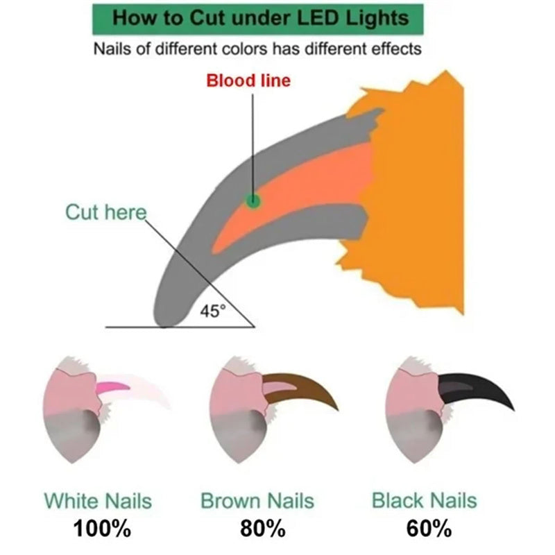 KFX-2805565 LED Light Pet Nail Clippers for Small Dogs and Cats - Stainless Steel Nail Trimmer with Built-in Nail File and Collection Design
