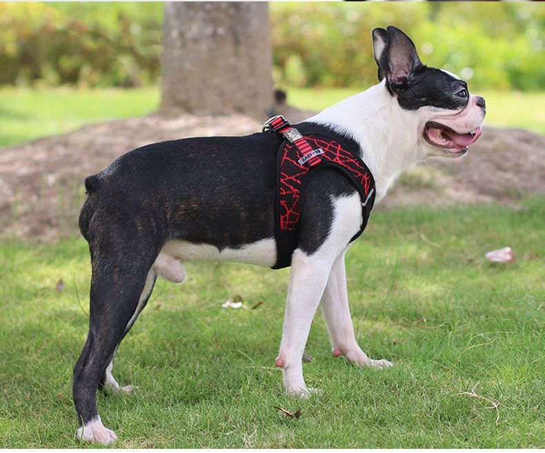 KFX-2806845 Adjustable Chest Harness and Leash for Pets – Durable Flying Woven Fabric