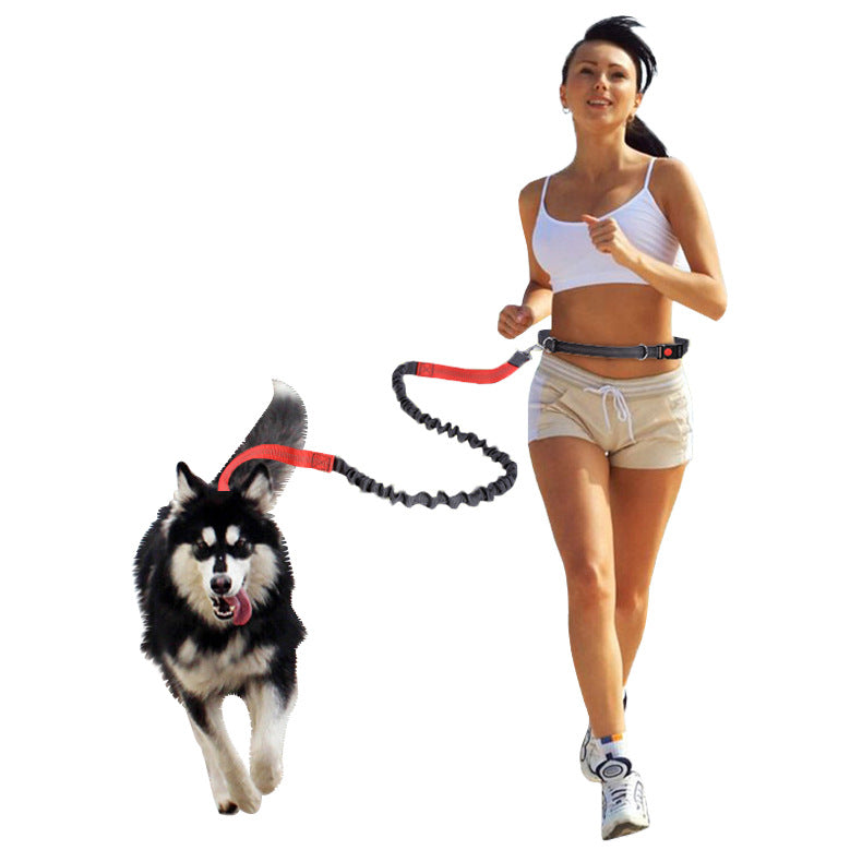 KFX-2807357 Elastic Multi-Purpose Reflective Pet Running Traction Belt - Available in Multiple Colors