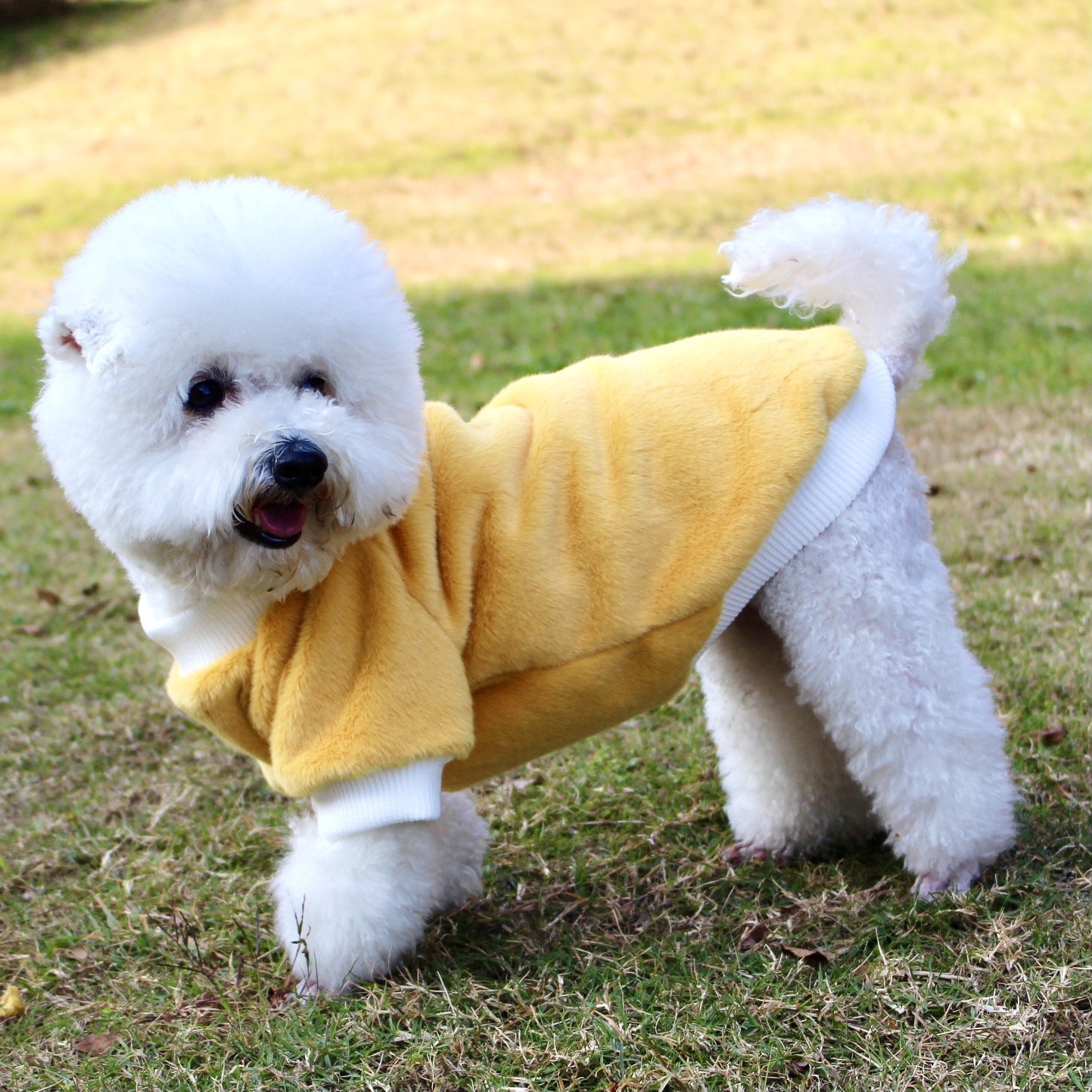 KFX-2809917 Warm Thickened Mink Fur Leggings for Dogs and Cats in Yellow and Pink