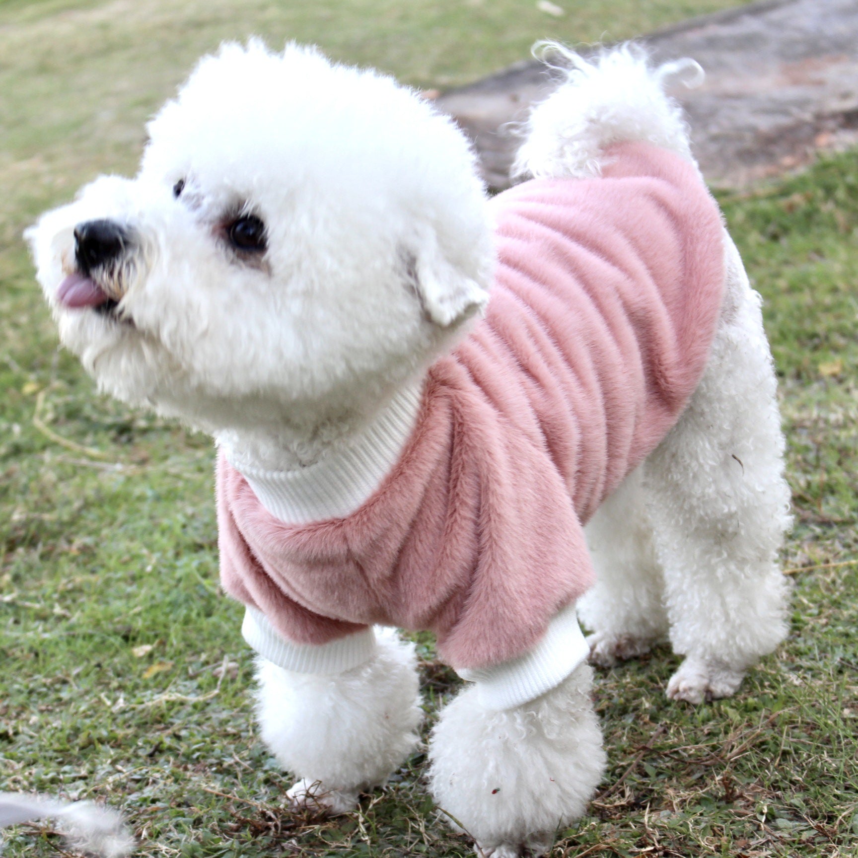 KFX-2809917 Warm Thickened Mink Fur Leggings for Dogs and Cats in Yellow and Pink