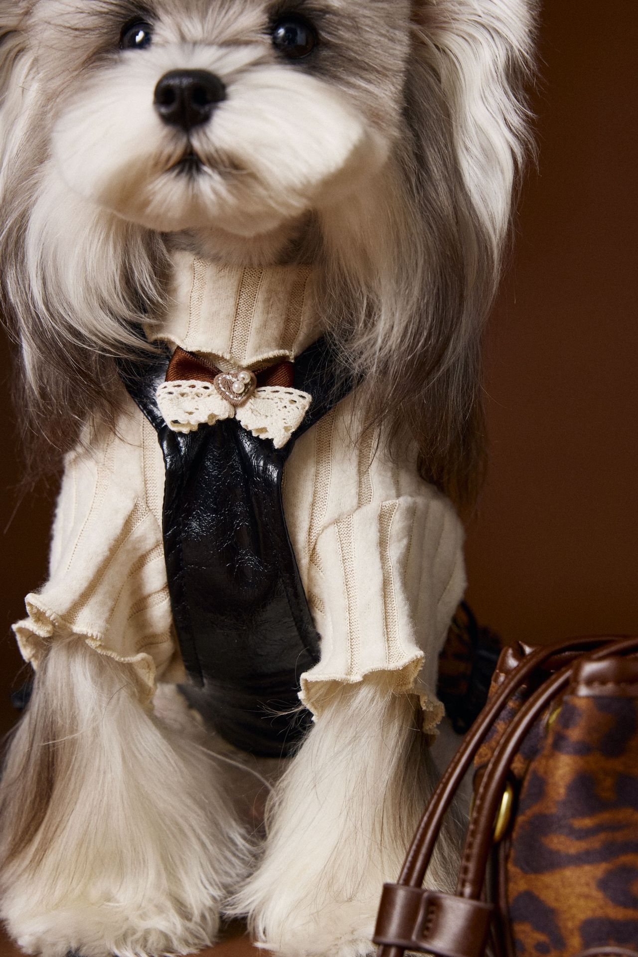 KFX-2812093 Casual Lace Bow Bottoming Shirt for Small Dogs - Coffee and Beige, Multiple Sizes Available