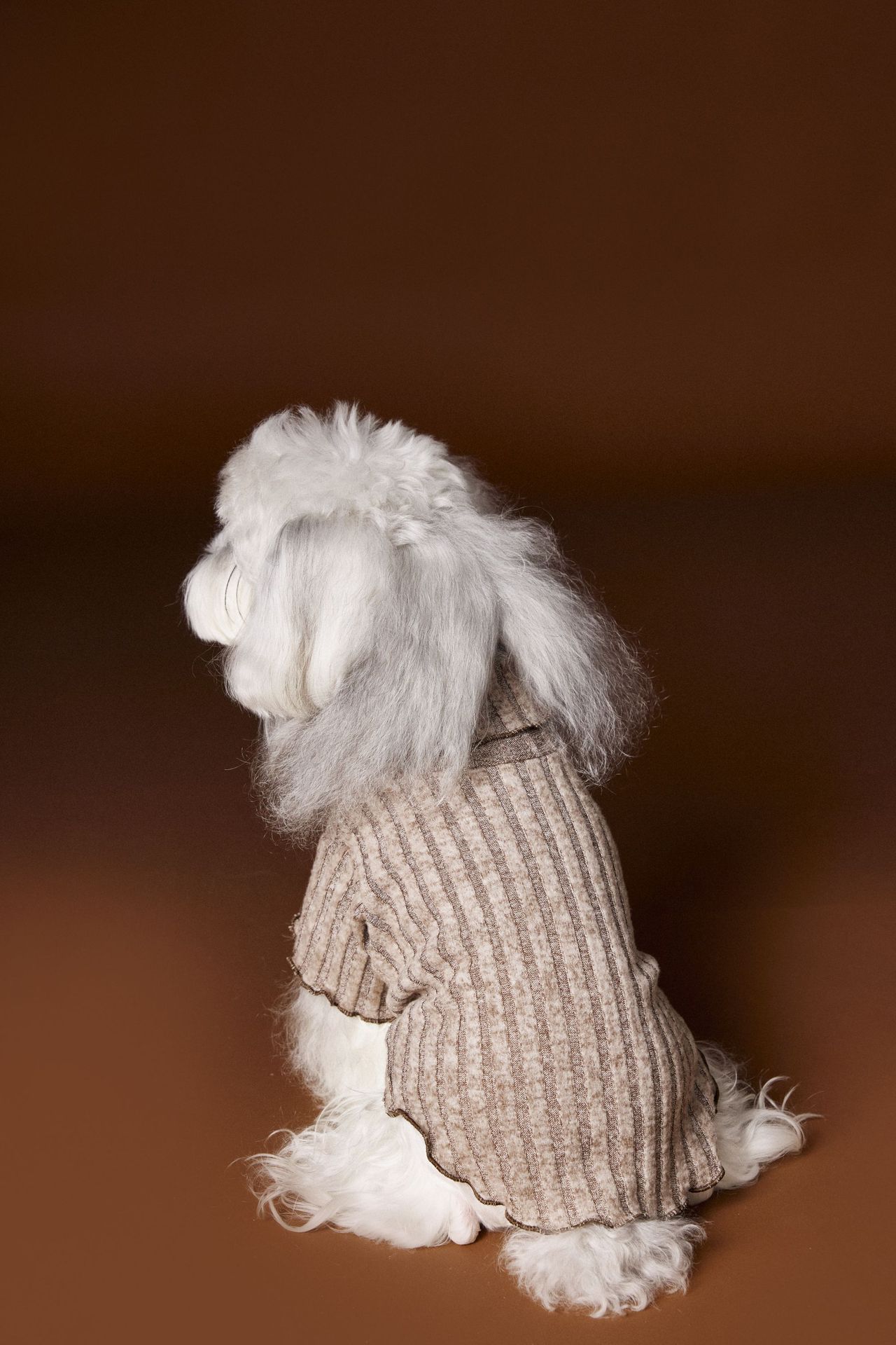 KFX-2812093 Casual Lace Bow Bottoming Shirt for Small Dogs - Coffee and Beige, Multiple Sizes Available