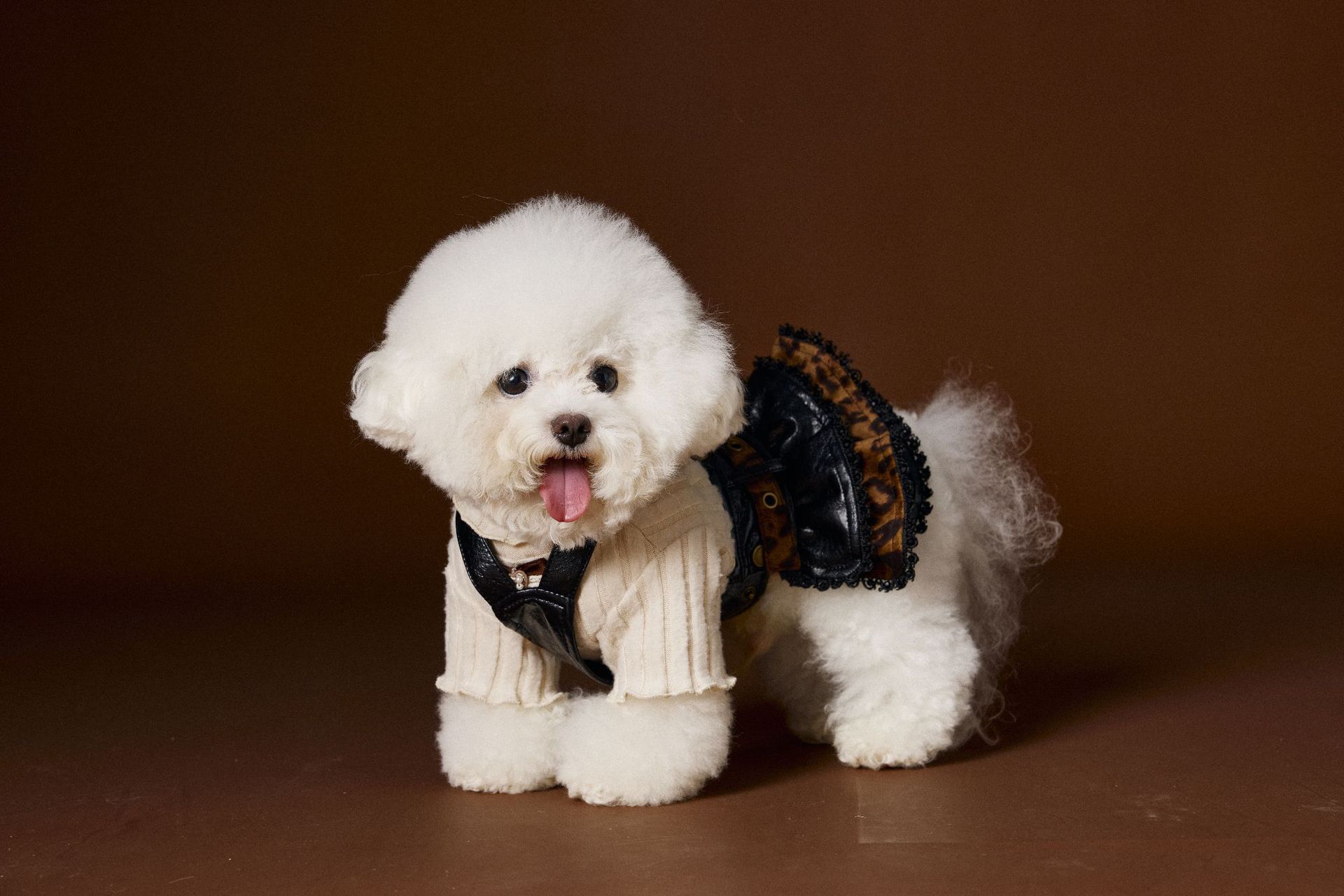 KFX-2812093 Casual Lace Bow Bottoming Shirt for Small Dogs - Coffee and Beige, Multiple Sizes Available