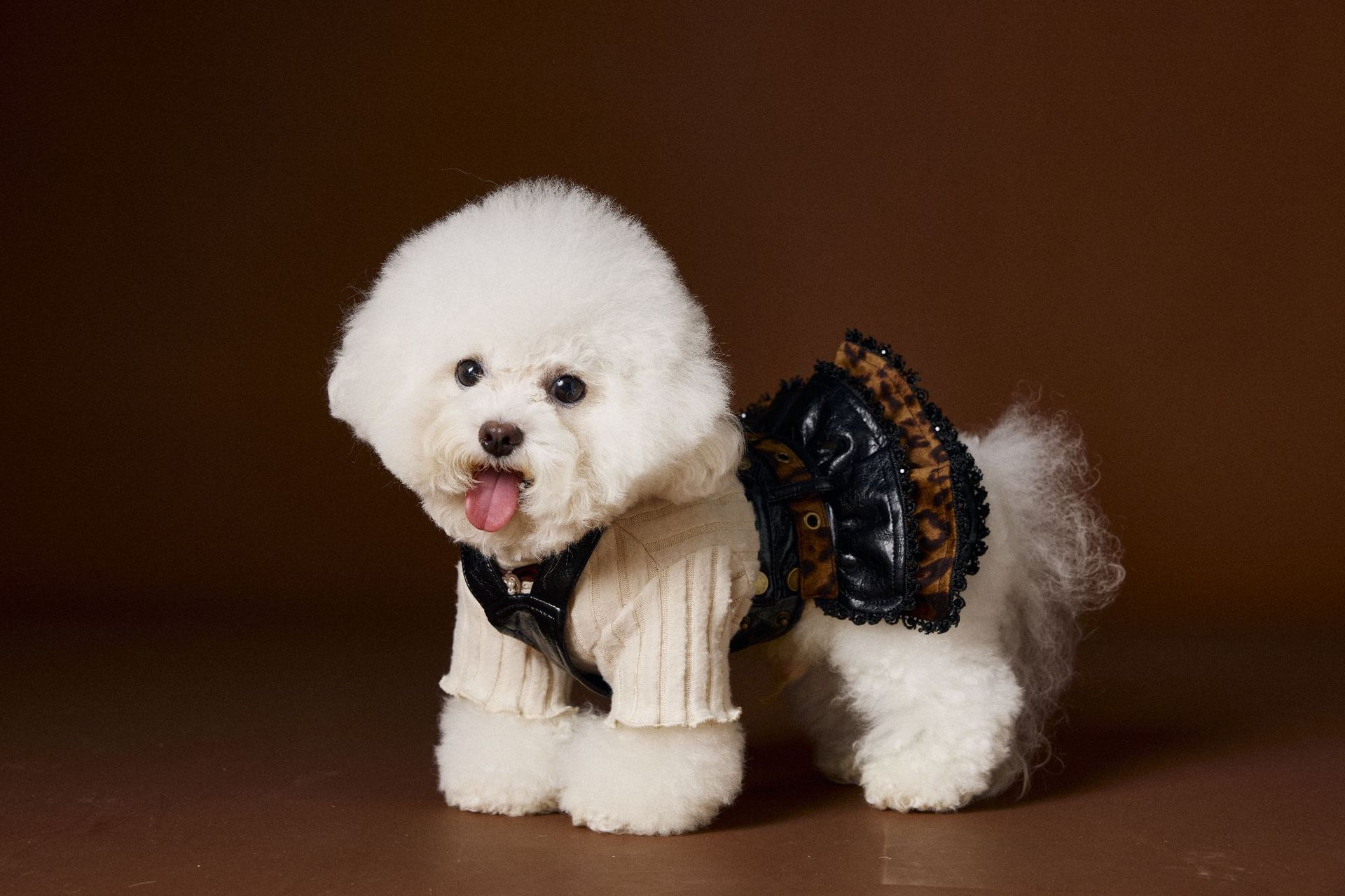 KFX-2812093 Casual Lace Bow Bottoming Shirt for Small Dogs - Coffee and Beige, Multiple Sizes Available