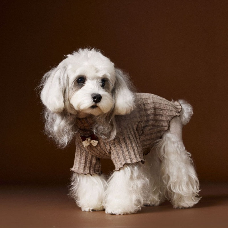 KFX-2812093 Casual Lace Bow Bottoming Shirt for Small Dogs - Coffee and Beige, Multiple Sizes Available