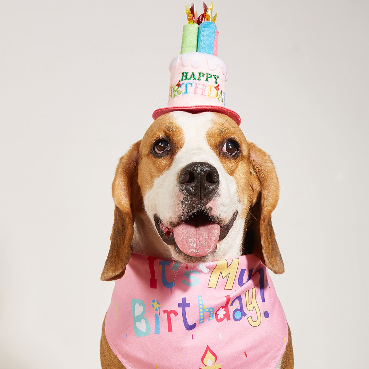 KFX-2812349 Creative Printing Dog Birthday Hat and Drool Towel Accessories Set - Triangular Binder with Cartoon Patterns in Blue and Pink