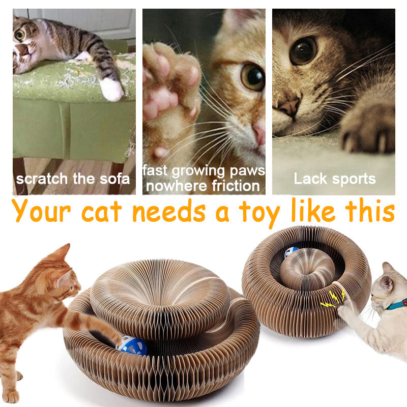 KFX-2813501 Magnetic Folding Cat Scratch Board with Ball and Menthol, 24x24x10cm, Fun Two-in-One Design