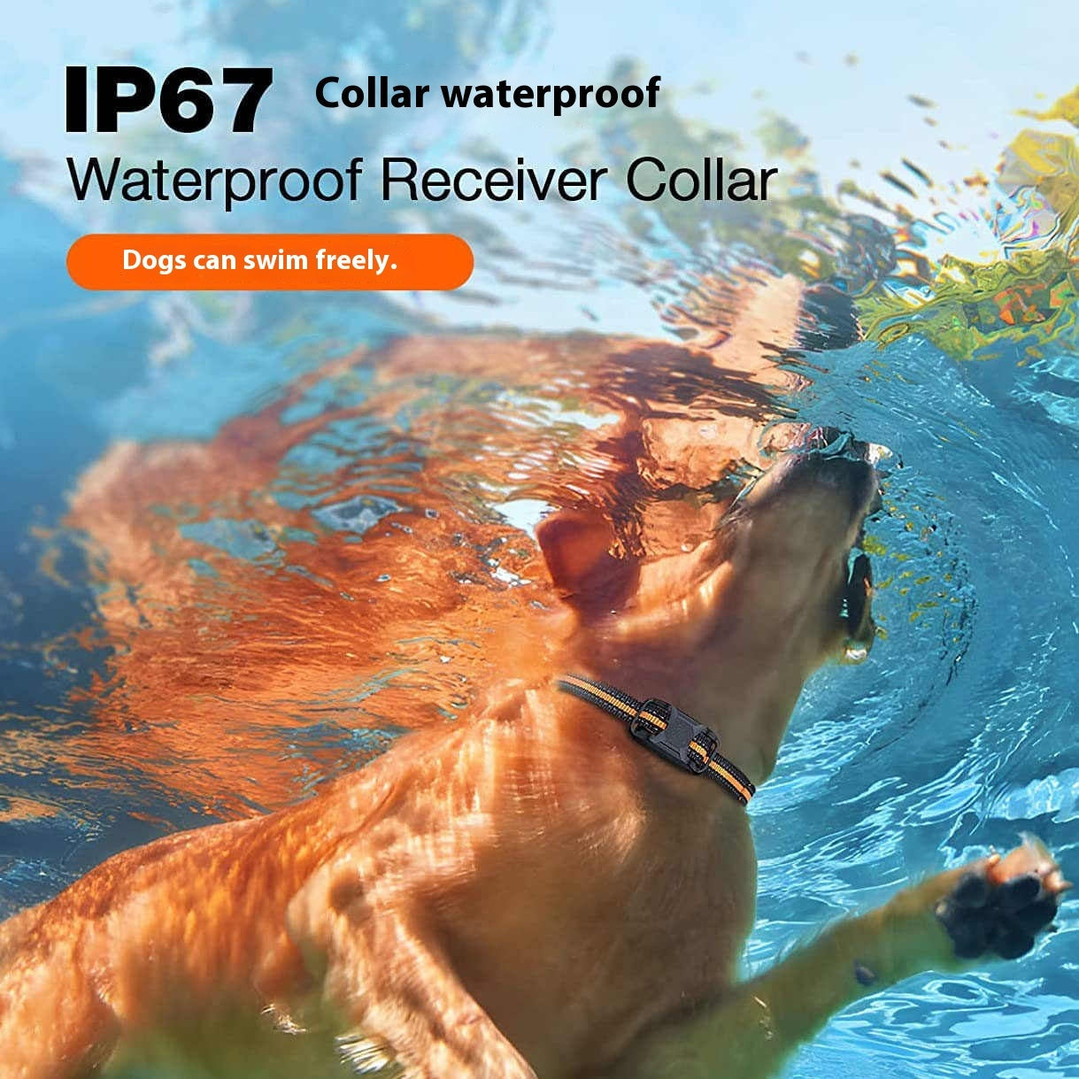 KFX-2821053 Waterproof Remote Control Bark Stopper for Dog Training with Electric Shock Function