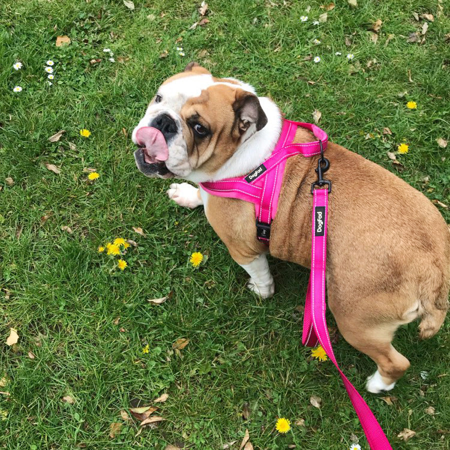 KFX-2822333 Pet Chest Strap with Flap and Comfortable Lining for Dog Leash, Available in Multiple Colors and Sizes