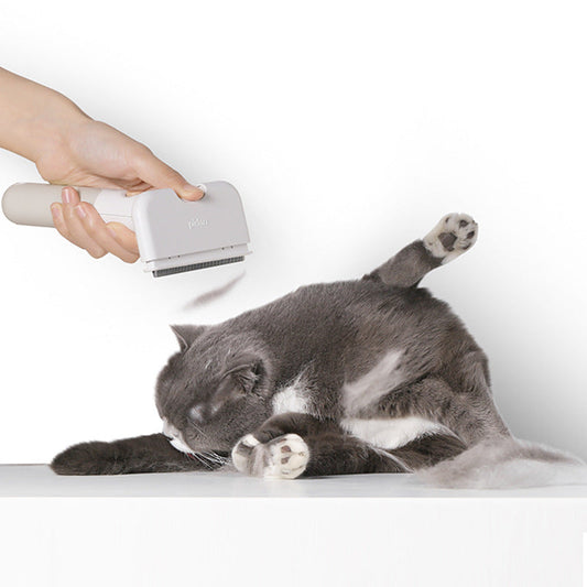 KFX-2824637 Pet Hair Removal Comb for Cats and Dogs - Five Modes, Easy to Use, Reusable Design, Perfect for Furniture and Clothing