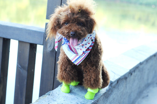 KFX-2825661 Soft Non-Slip Silicone Pet Rain Boots - Comfortable & Wear-Resistant, Available in Multiple Colors and Sizes