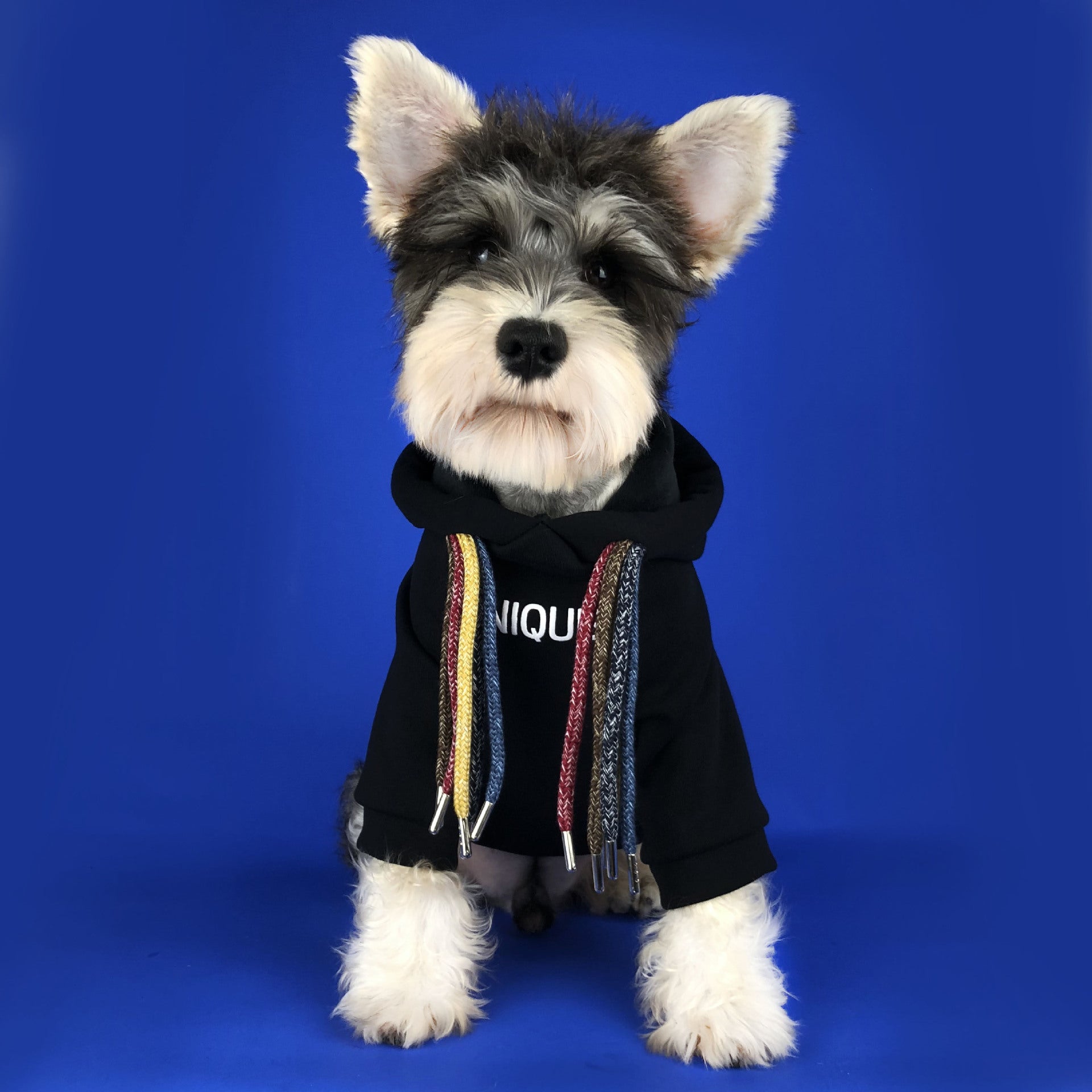 KFX-2829373 Pug Dirty Braids Velvet Pet Cotton Sweatshirt in Black and Red, Sizes S-XXL