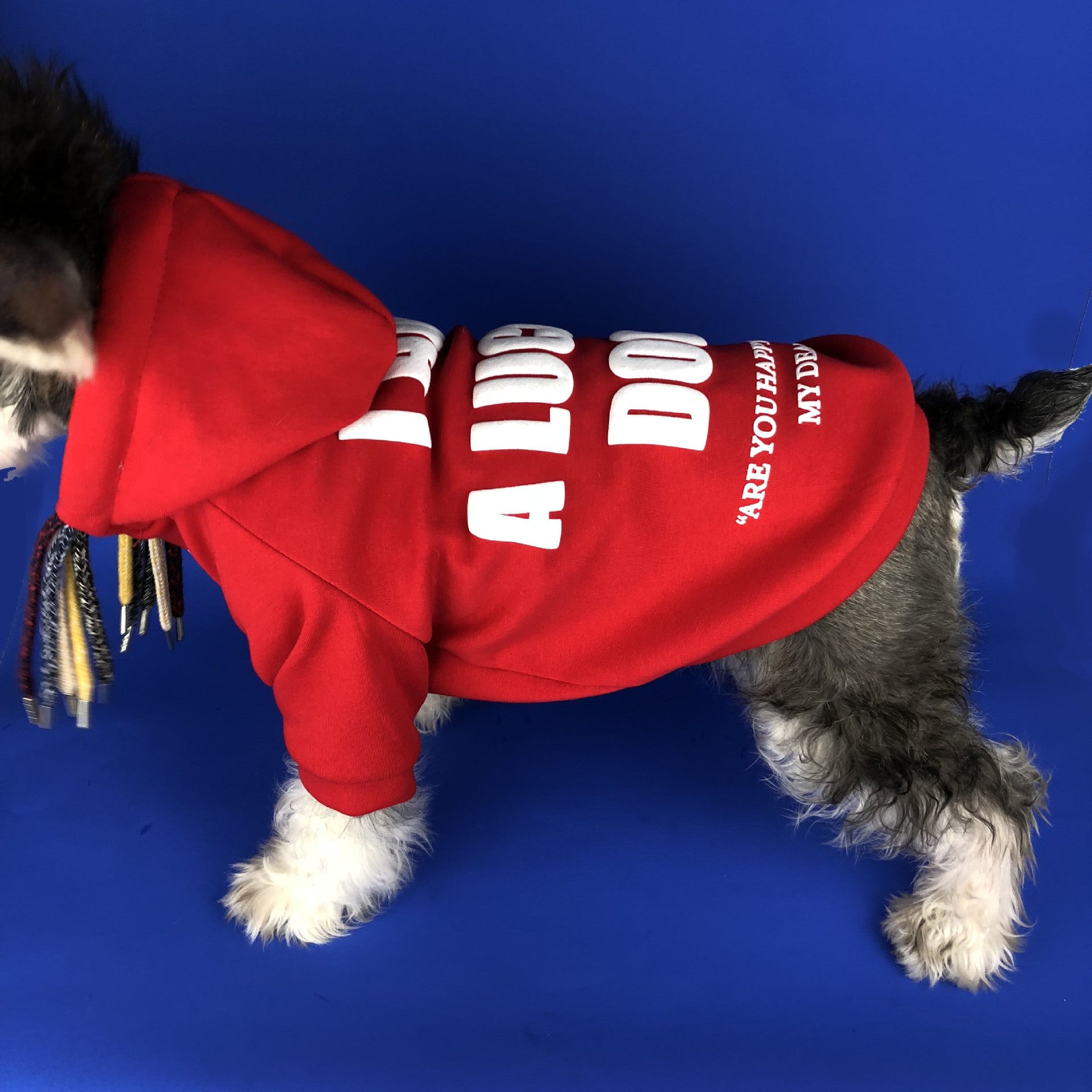 KFX-2829373 Pug Dirty Braids Velvet Pet Cotton Sweatshirt in Black and Red, Sizes S-XXL