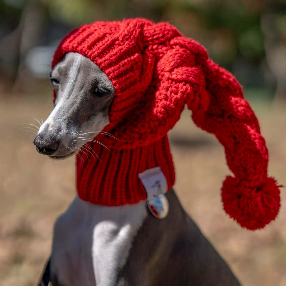 KFX-2832573 Cozy Pet Woolen Hat for Winter, Ideal for Photos and Gift Giving