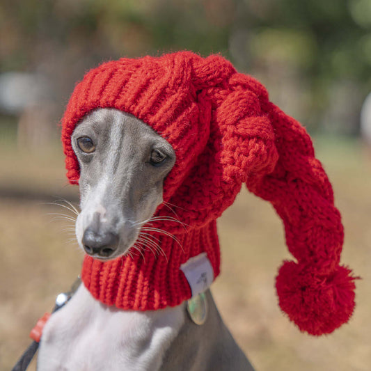 KFX-2832573 Cozy Pet Woolen Hat for Winter, Ideal for Photos and Gift Giving