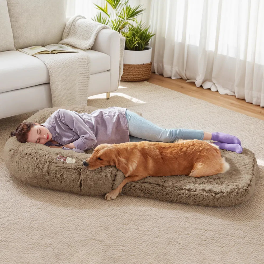 KFX-2833213 Orthopedic Human Dog Bed - 71 x 43 x 12 Inch Plush & Washable Folding Bed for Large Dogs and People