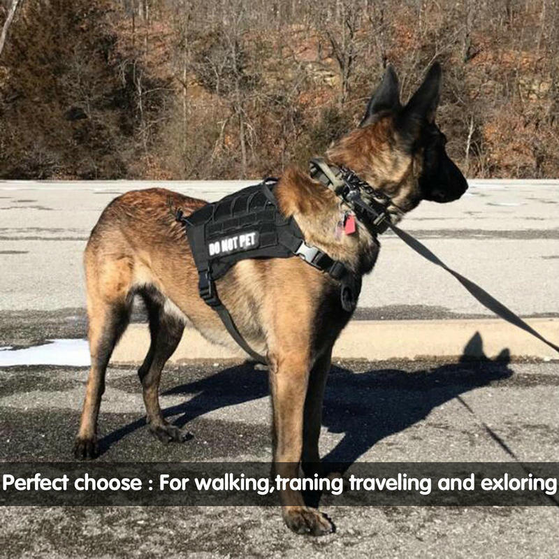 KFX-2834365 Tactical Elastic Dog Leash with Dual Control Handles for Training and Walking