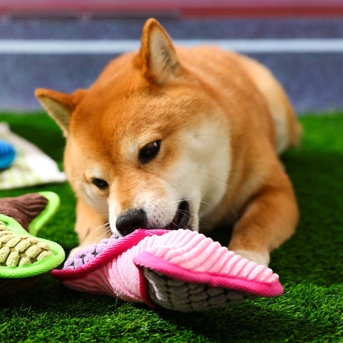 KFX-2837821 Bite-Resistant Teddy Toy with Dog Sound and Soft Fleece Lining for Pet Boredom Relief