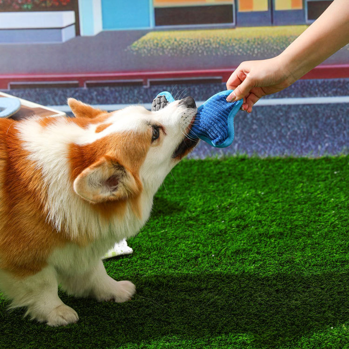 KFX-2837821 Bite-Resistant Teddy Toy with Dog Sound and Soft Fleece Lining for Pet Boredom Relief