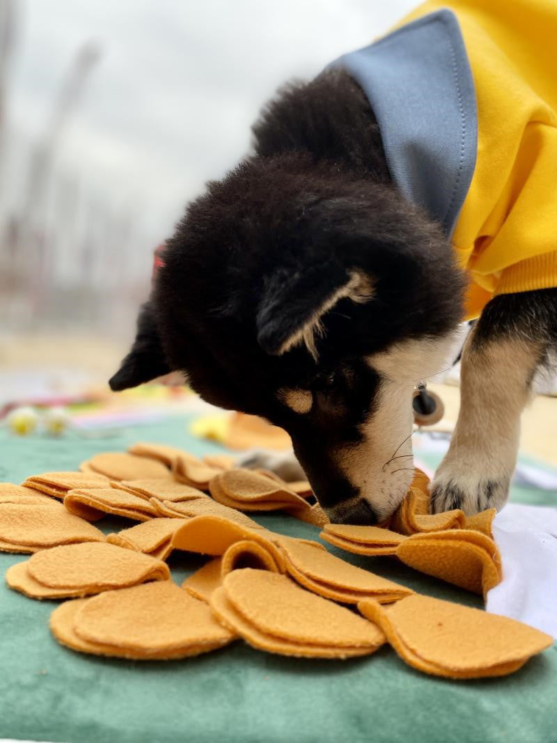 KFX-2842173 Interactive Sniffing Mat for Puppies - Engaging Training Puzzle Toy for Boredom Relief