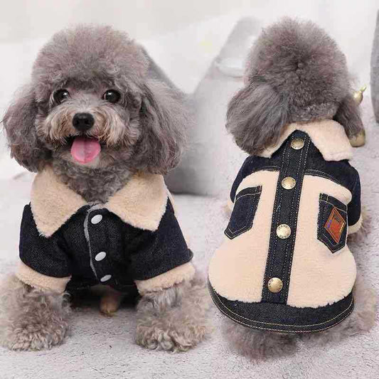 KFX-2842685 Thick and Warm Two-Legged Pet Clothing in Blue and Black