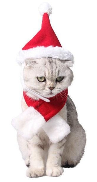 KFX-2845117 Christmas Reindeer Antlers Hairband for Pets - Adjustable Headwear for Dogs and Cats