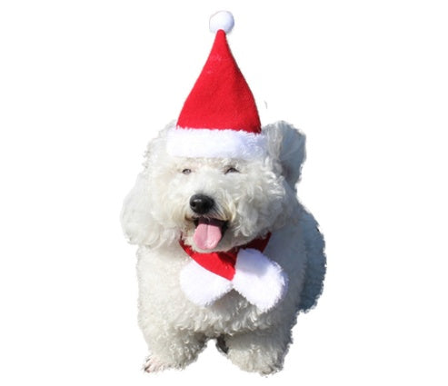KFX-2845117 Christmas Reindeer Antlers Hairband for Pets - Adjustable Headwear for Dogs and Cats