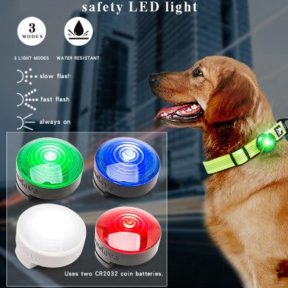 KFX-2848061 LED Safety Light for Dogs - Night Visibility in Red, White, Blue, and Green