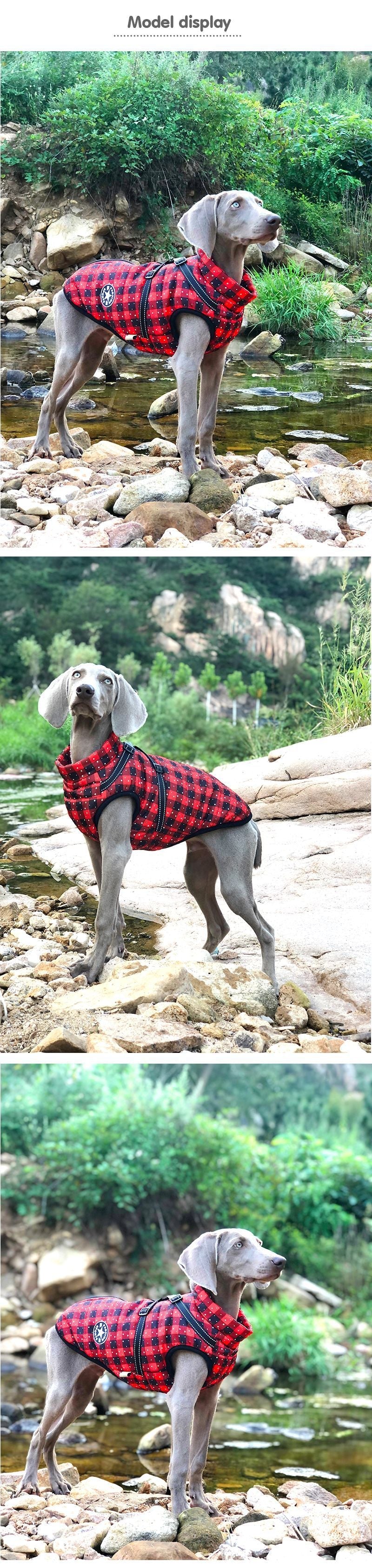 KFX-2850493 Reflective Cotton-Padded Pet Coat in Christmas Snowflake, Plaid, and Silver Gray - Sizes 3XL to 5XL
