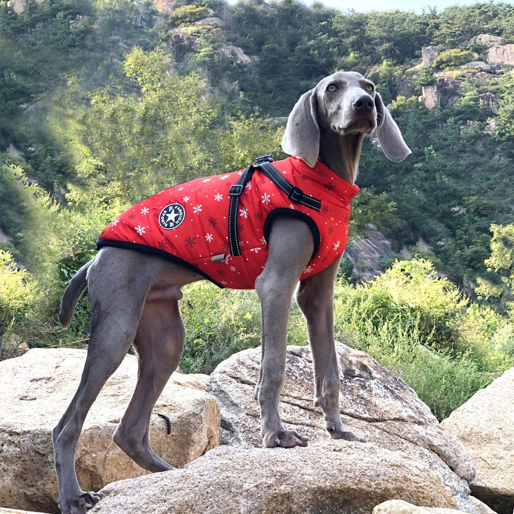 KFX-2850493 Reflective Cotton-Padded Pet Coat in Christmas Snowflake, Plaid, and Silver Gray - Sizes 3XL to 5XL