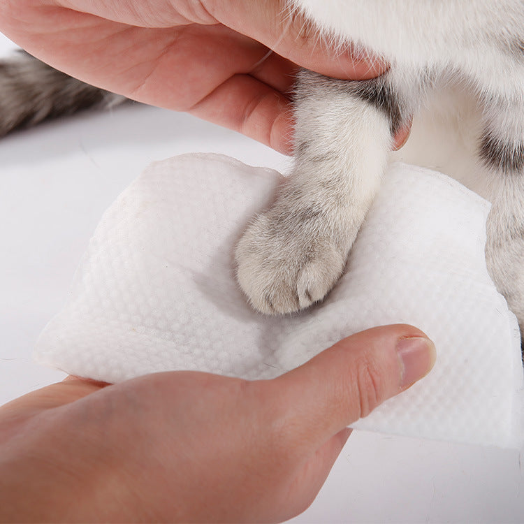 KFX-2851645 Pet Ear Cleaning Wipes for Dogs and Cats - Tear Stain Remover, Thickened Pearl Spunlace Cloth, 24 Bags/Carton